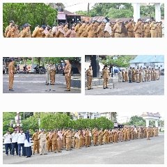 IMG-20250421-WA0225_240x240