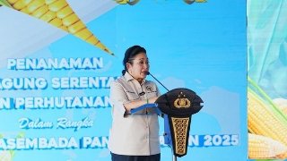 IMG-20250710-WA0107_320x180