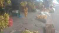 IMG-20261012-WA0760